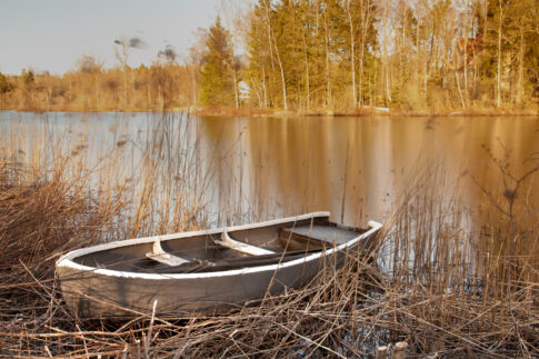 Calm lake surrounded by trees at Nävrajön in Blekinge